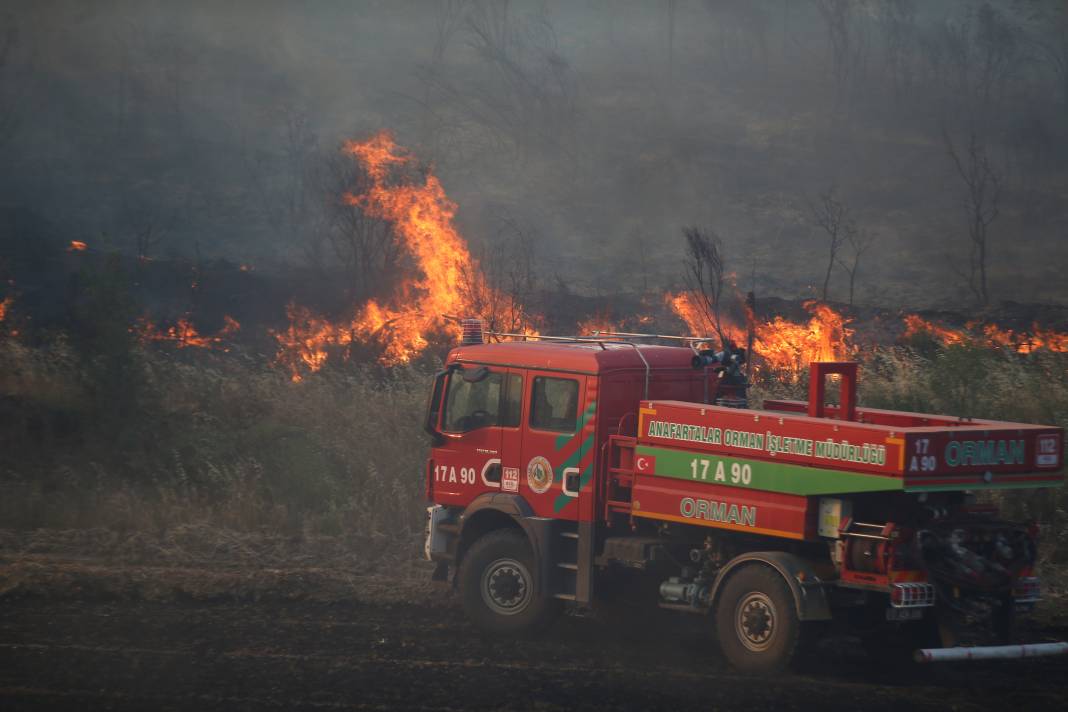 Çanakkale'deki Tarihi Alan'ın güney hattı ziyarete açıldı! Orman yangınında kapatılmıştı 57